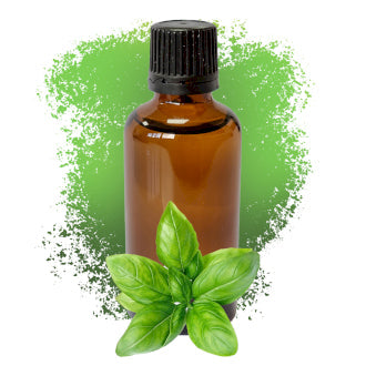 Basil Essential Oil