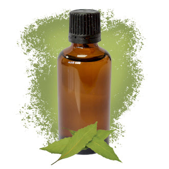 Bay Leaf Essential Oil